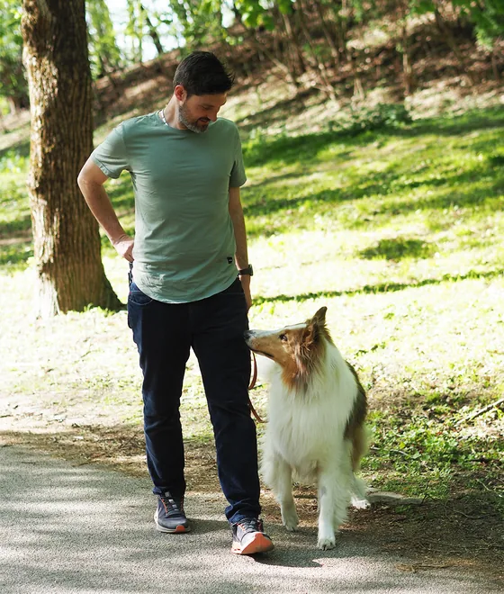 Ein Collie steht neben einem Mann auf dem Weg und schaut zu ihm auf