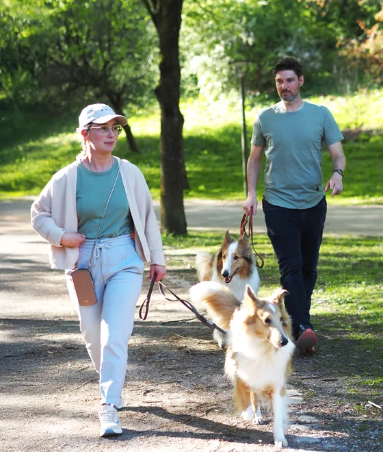 Eine Frau und ein Mann gehen mit zwei Collies an der Leine durch einen Park