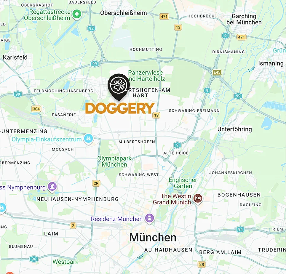 Stadtplan von München mit dem Standort der Hundebetreuung Doggery im Norden der Stadt